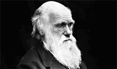 Charles-Darwin-012.png